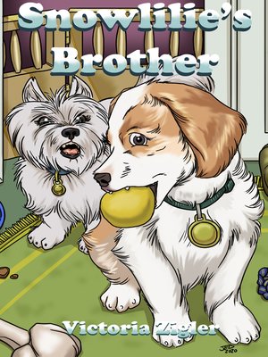 cover image of Snowlilie's Brother